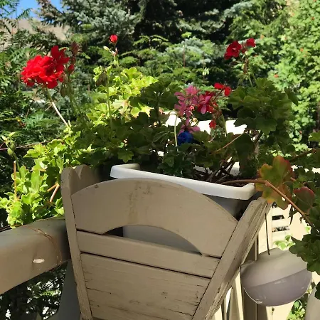 Apartament Bas De Station La Foux *