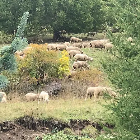 Bas De Station La Foux Apartament *