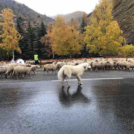 Apartament Bas De Station La Foux *