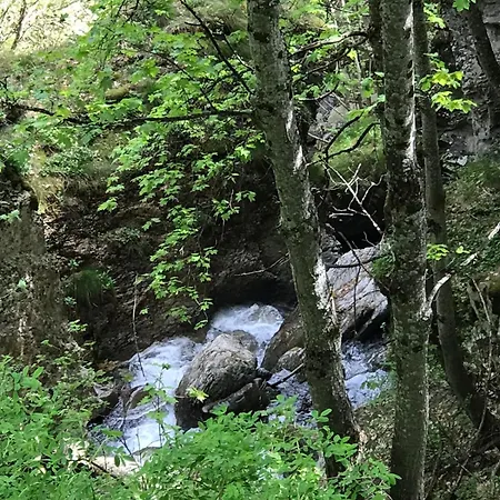 Daire Bas De Station La Foux *