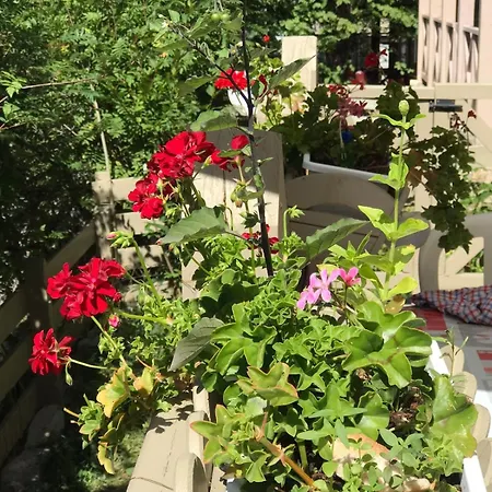 Bas De Station La Foux *