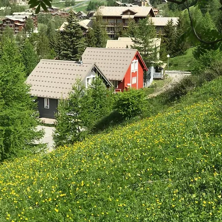 Bas De Station La Foux * Allos