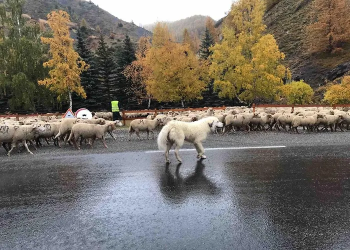 Appartamento Bas De Station La Foux *