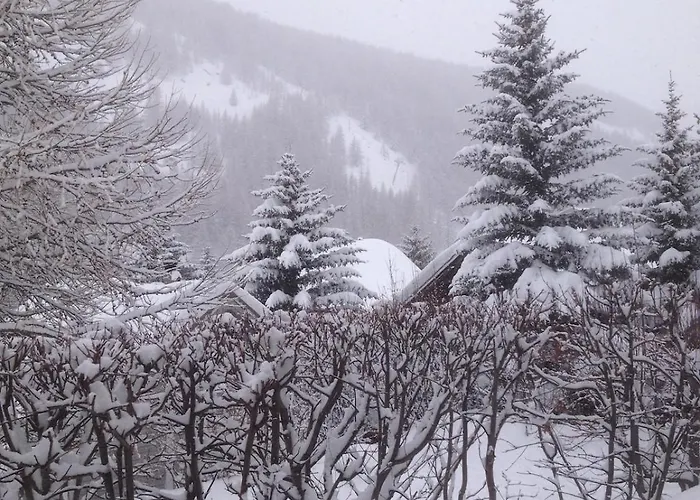 Bas De Station La Foux Allos