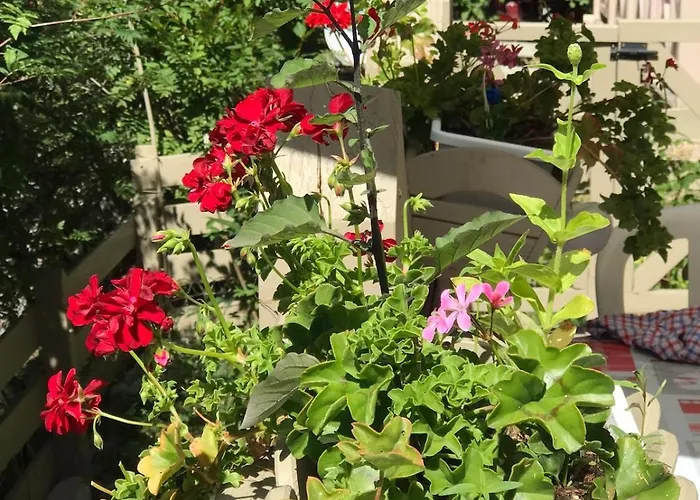 Bas De Station La Foux *