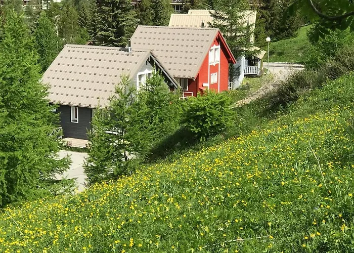 Bas De Station La Foux * Allos